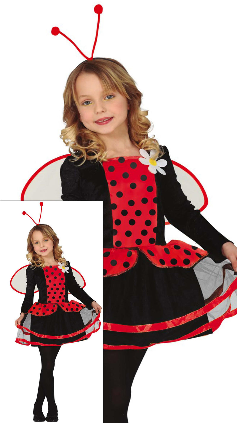 LADYBUG
