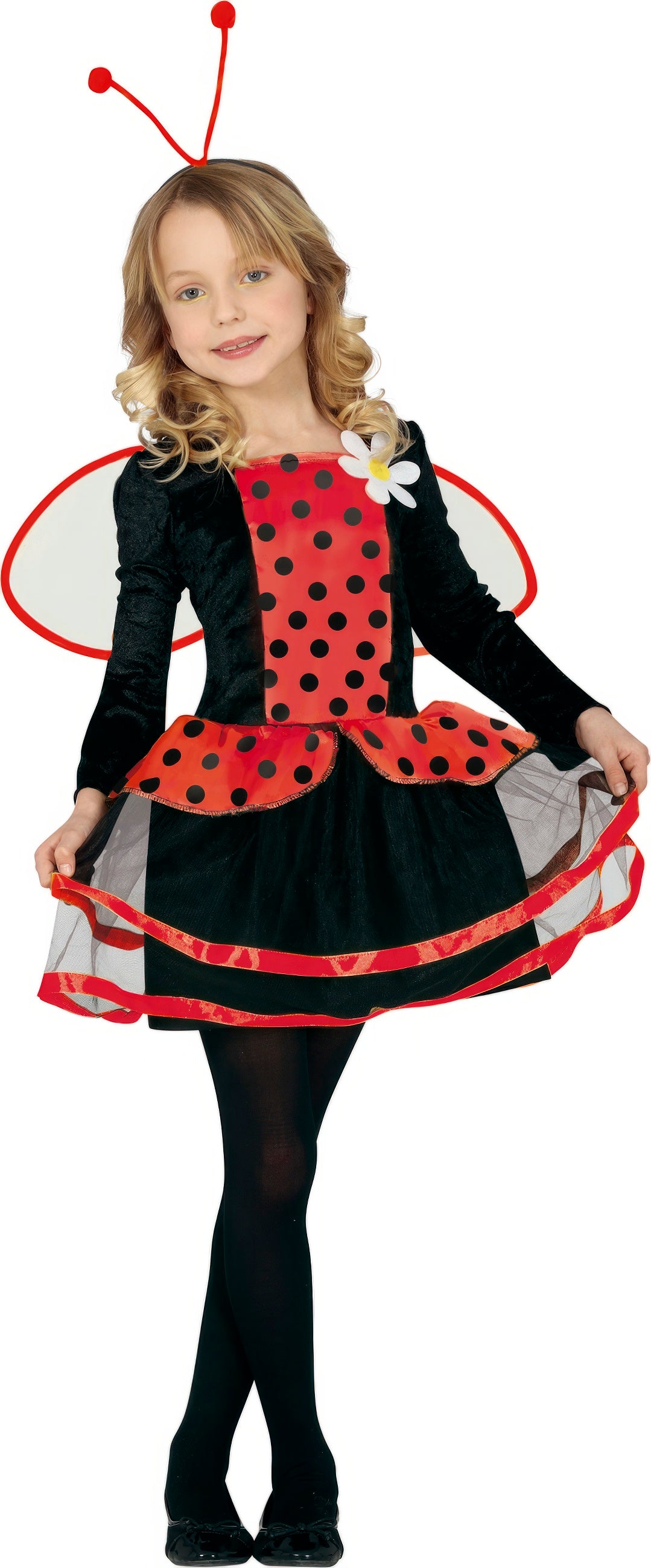 LADYBUG