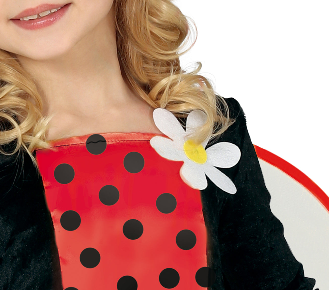 LADYBUG