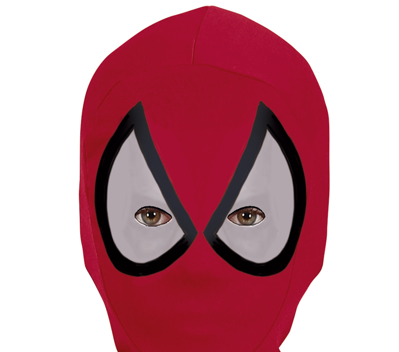 SPIDER HERO