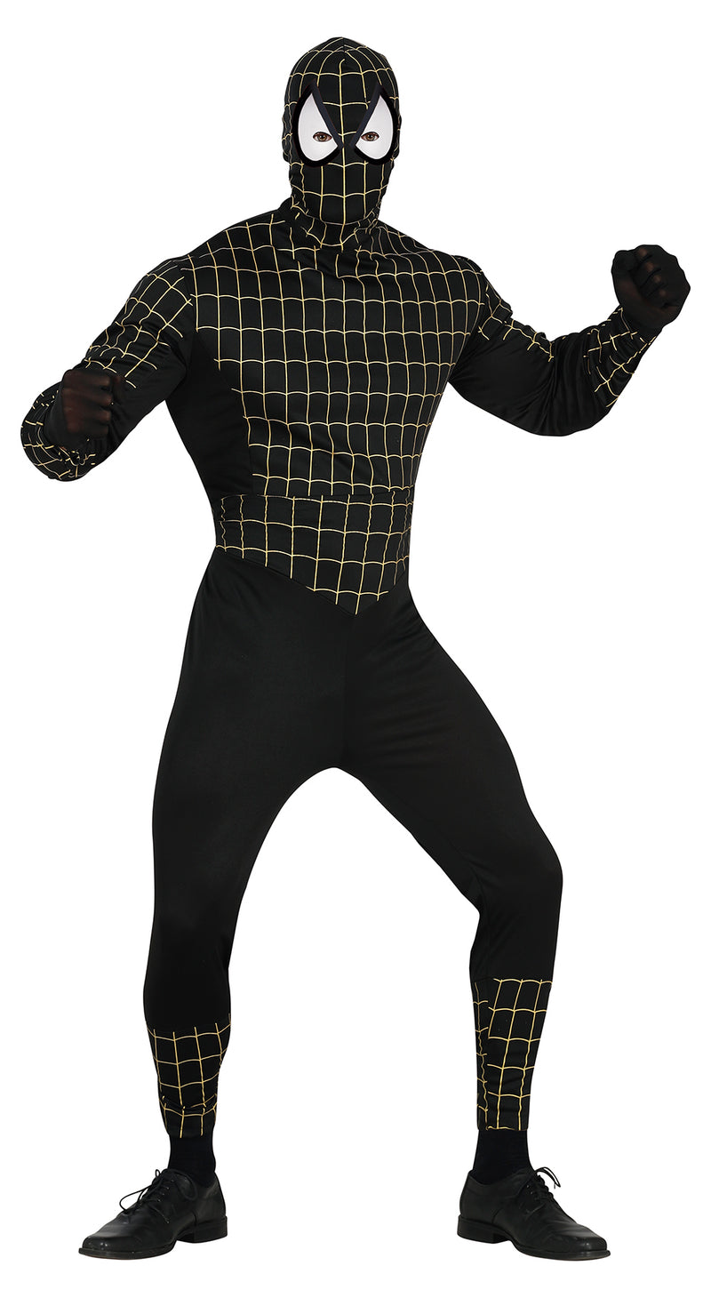 SPIDER HERO
