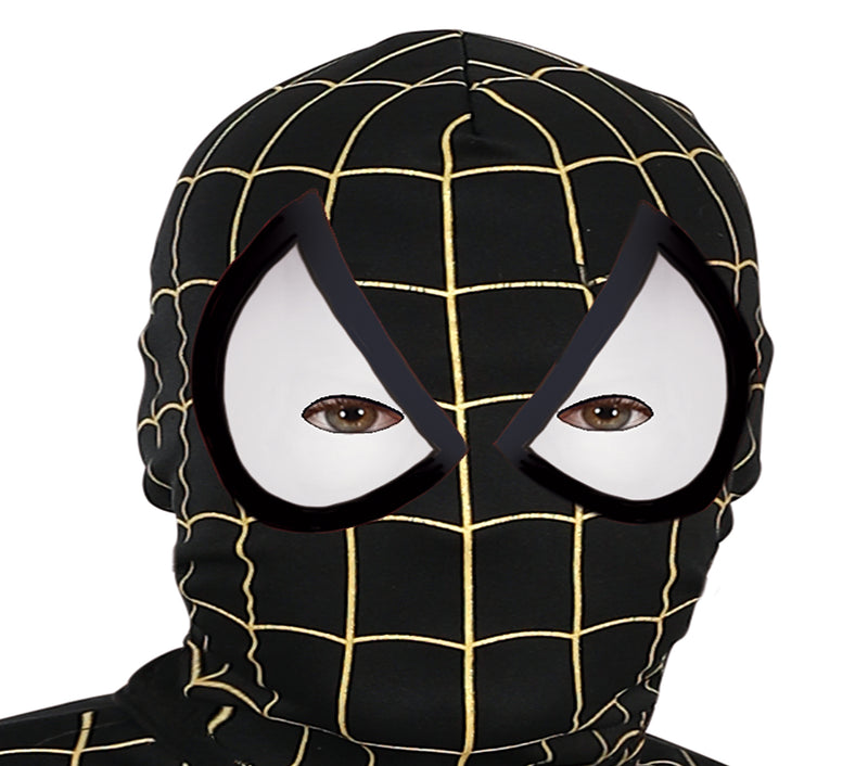 SPIDER HERO