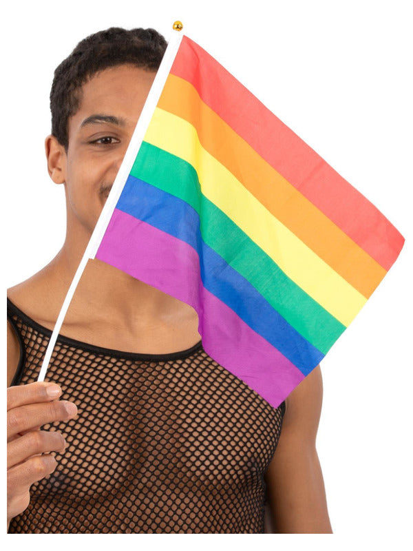 Hand Held Rainbow Flags, 45x30cm, 12Pk - 2