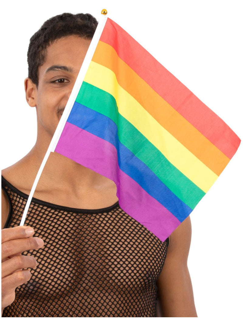 Hand Held Rainbow Flags, 45x30cm, 12Pk - 1