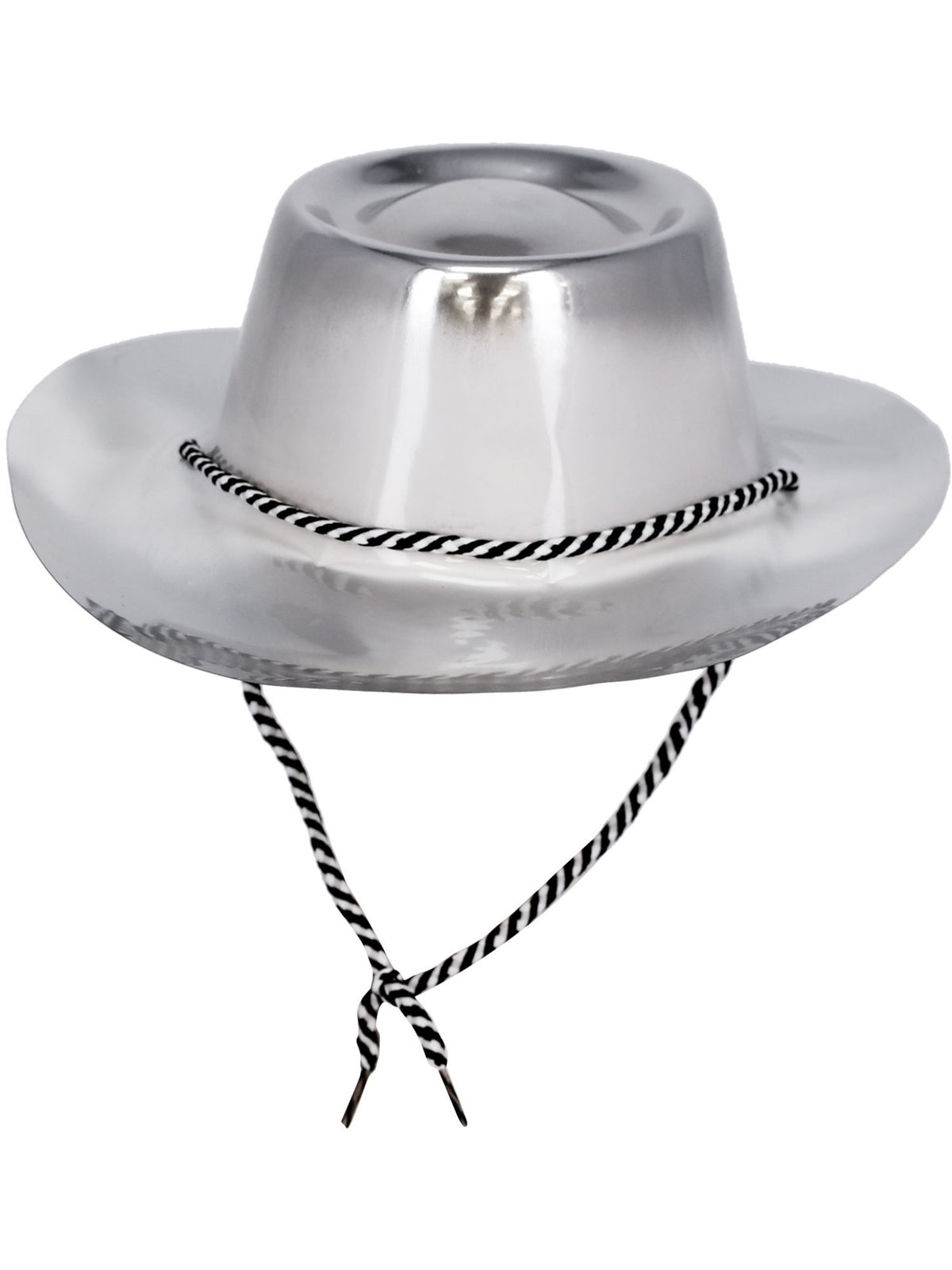 Silver Metallic Cowboy Hat 2