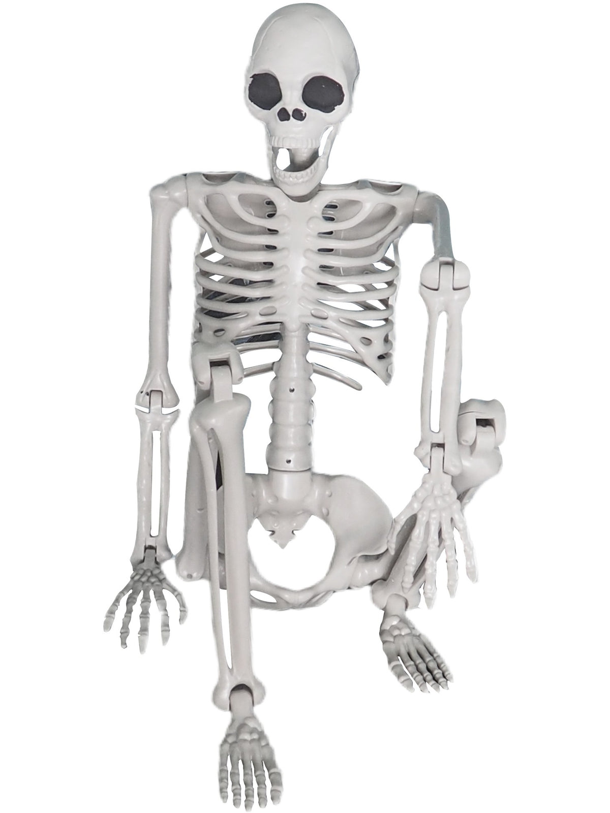 Lifesize Hanging Skeleton Prop, 150cm 1