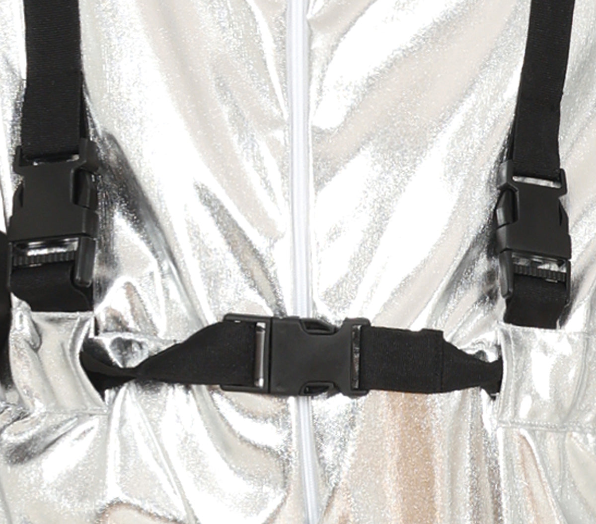 NASA SILVER ASTRONAUT