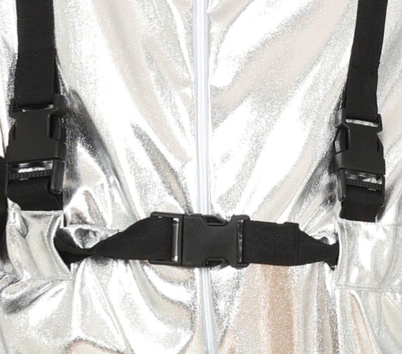 NASA SILVER ASTRONAUT