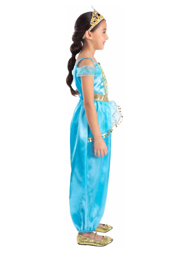 Arabian Princess Costume - 4