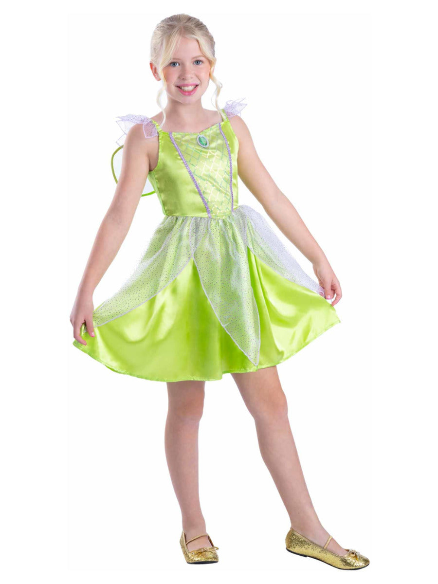 Green Fairy Costume - 1