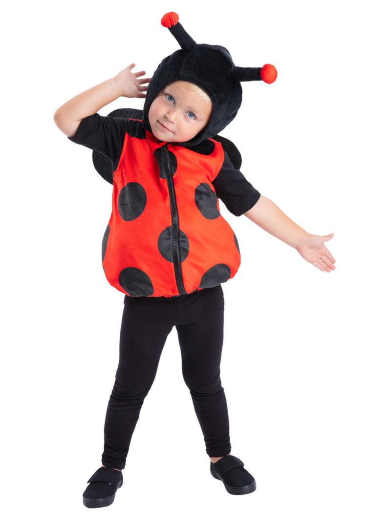 Ladybird Costume - 5