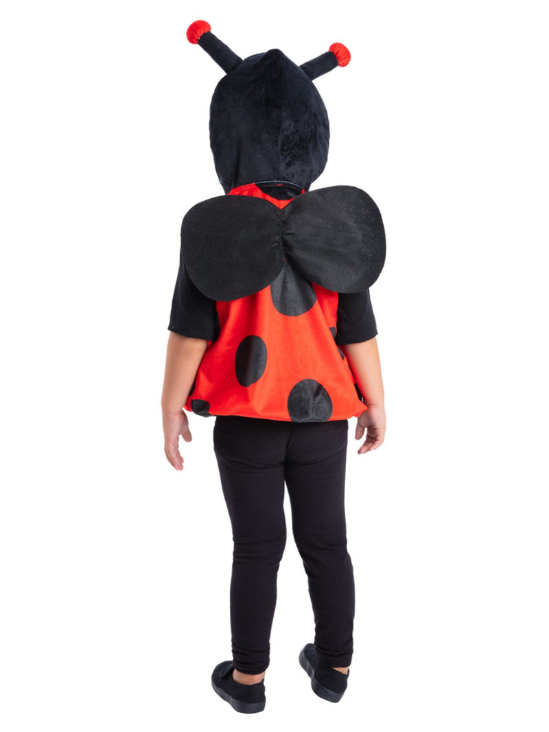 Ladybird Costume - 3