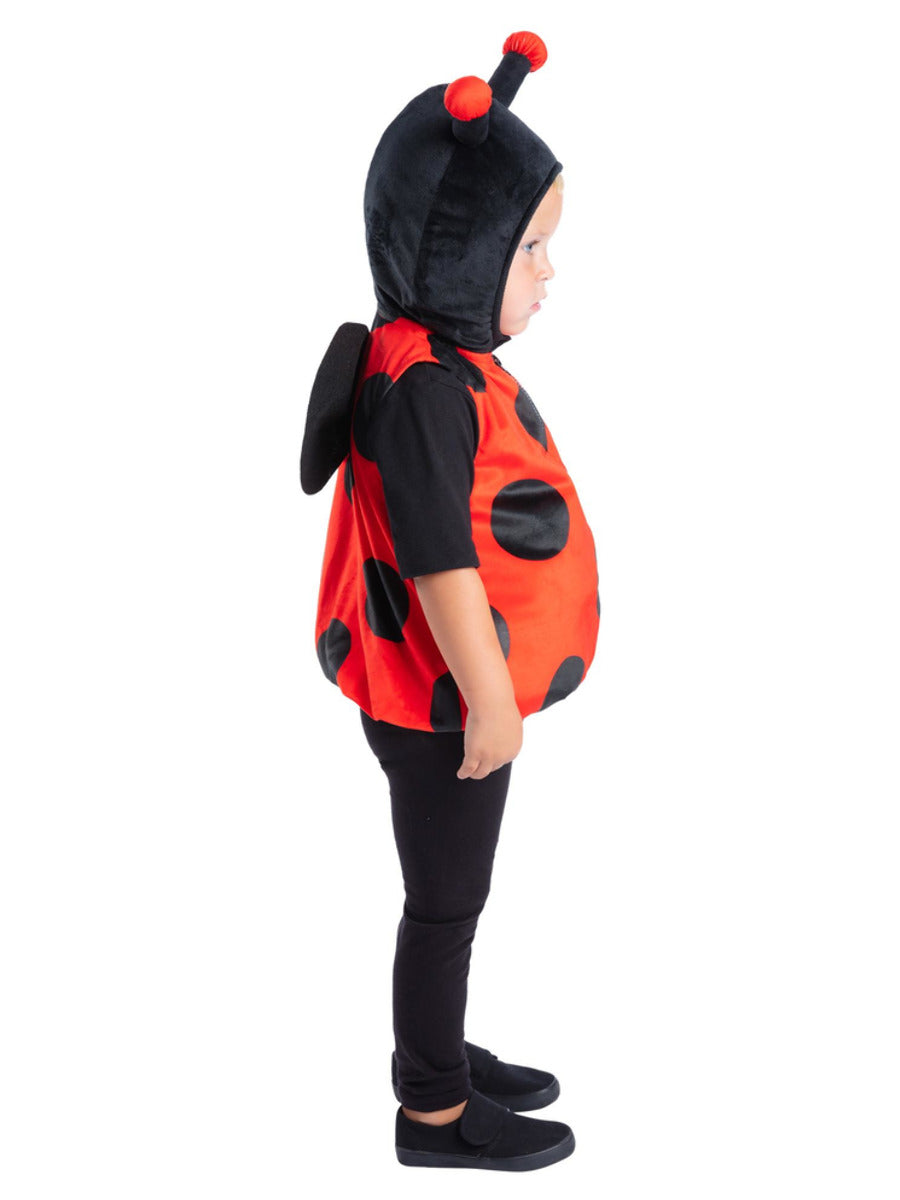 Ladybird Costume - 4