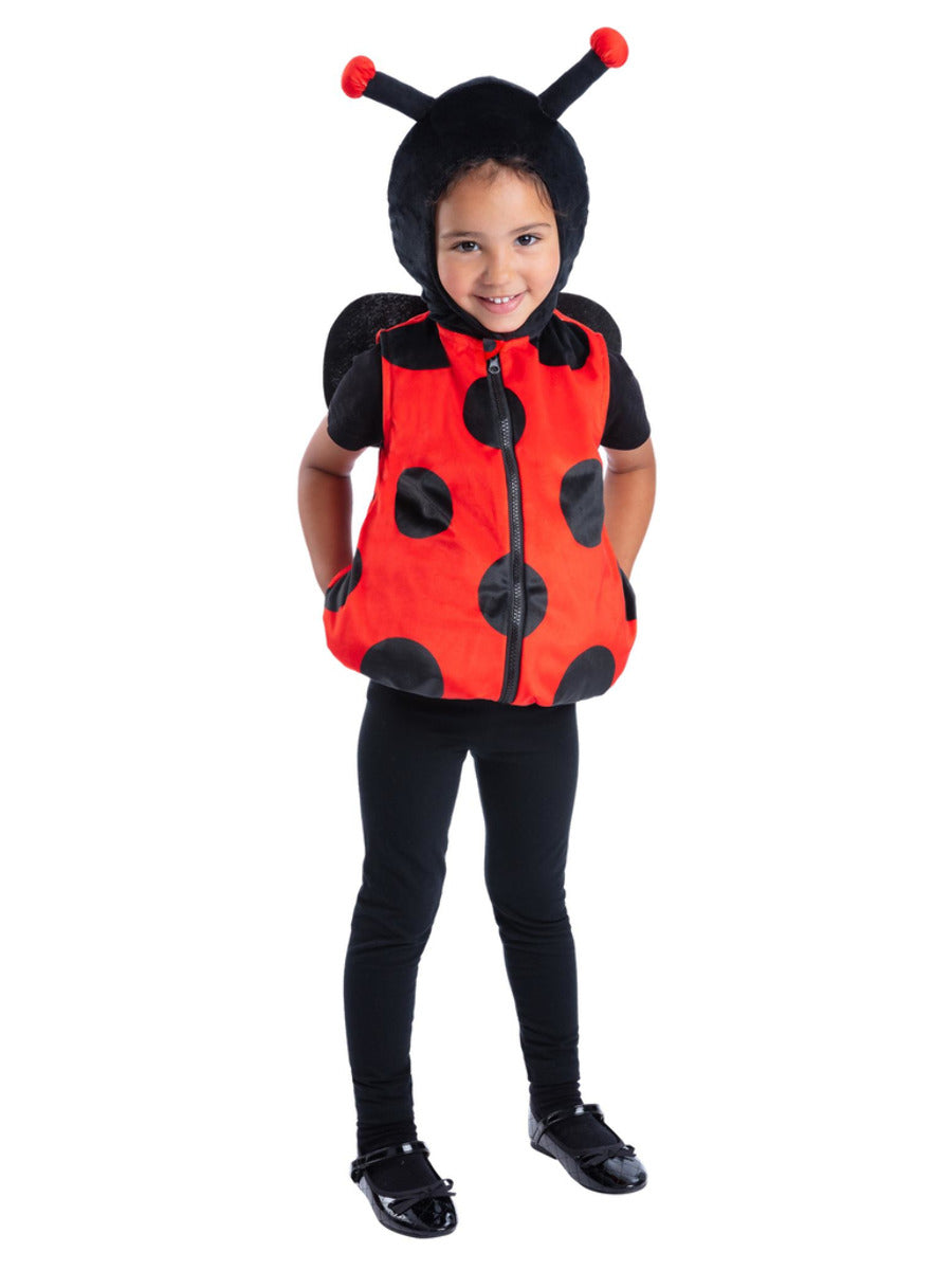 Ladybird Costume - 1