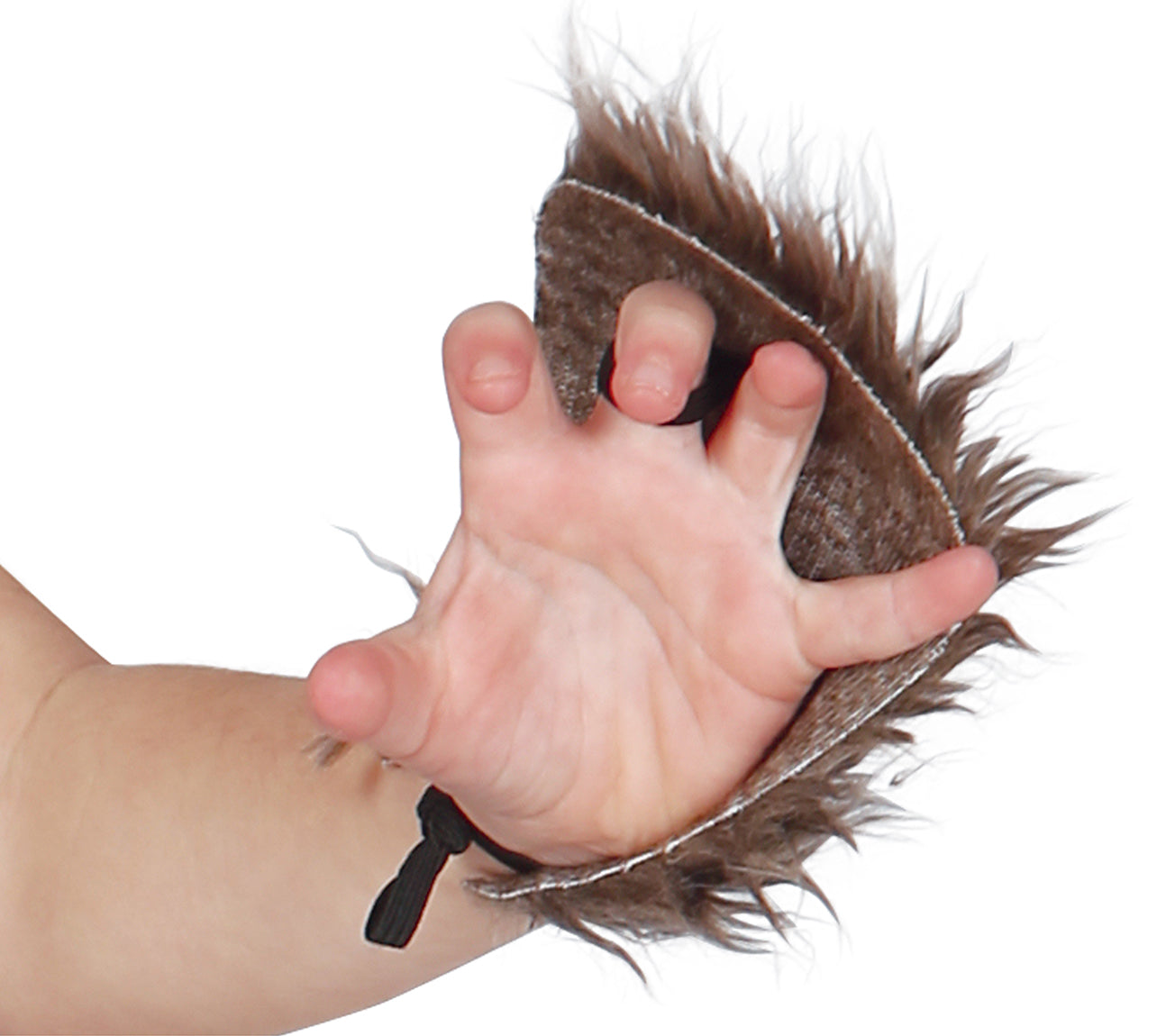 SCOTTISH WOLF
