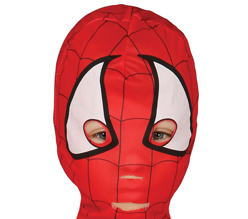 SPIDER BOY