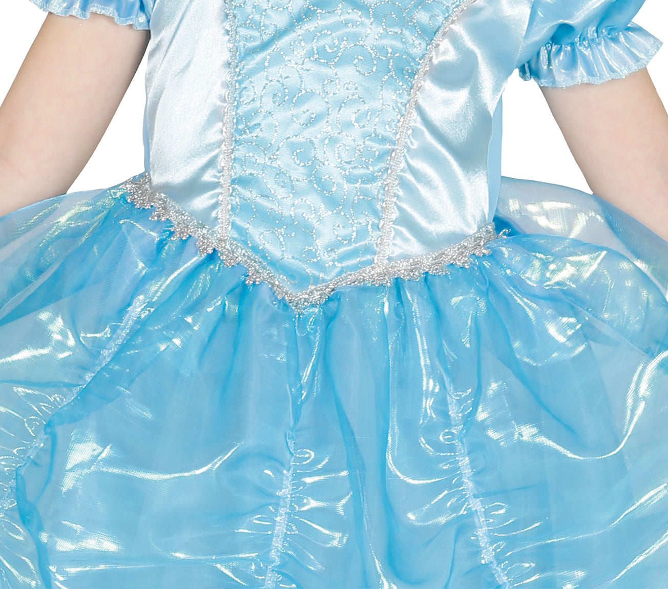 SWAN PRINCESS