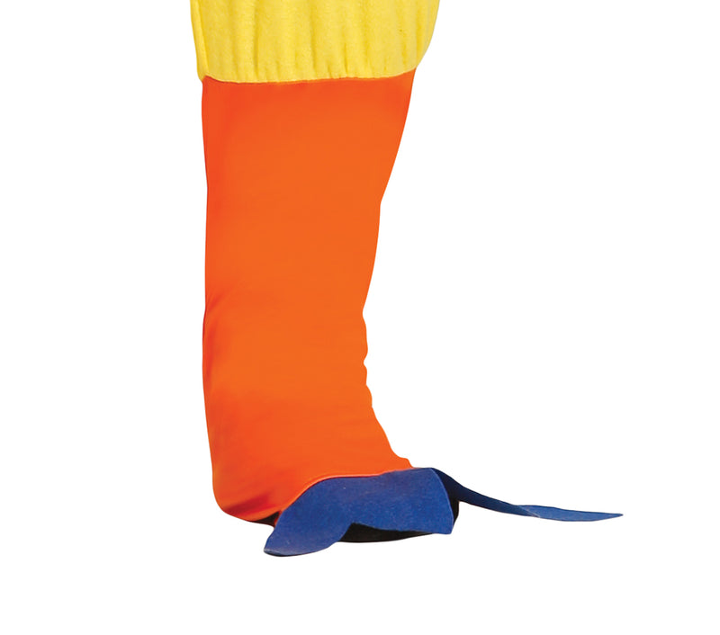 ROOSTER