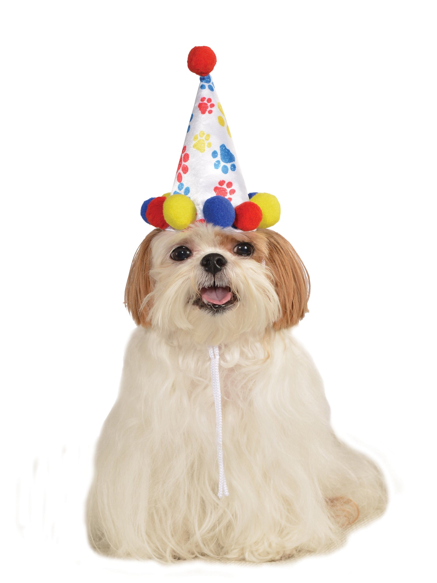Paw Print Birthday Hat Pet Costume
