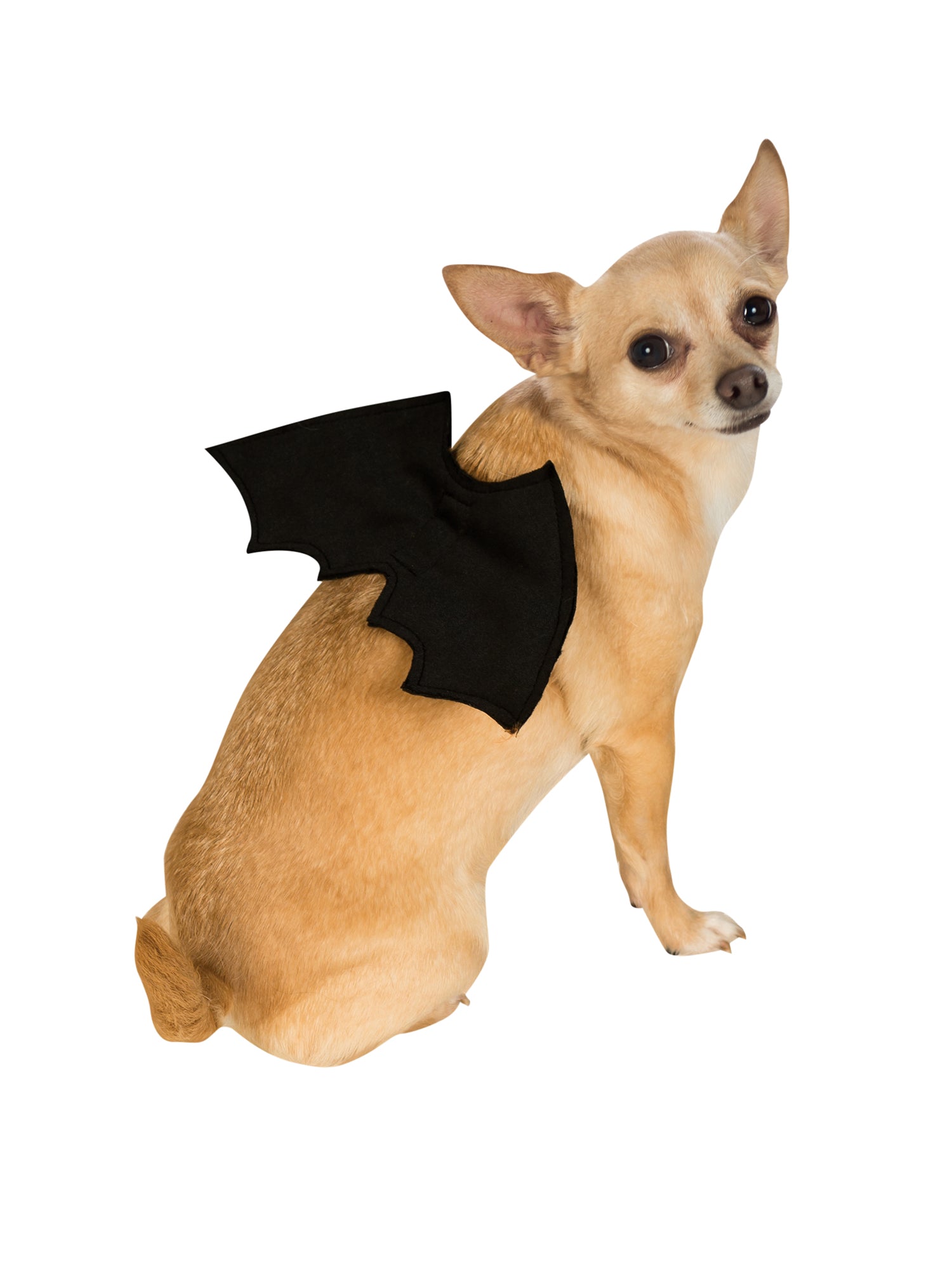 Bat Wings Pet Costume