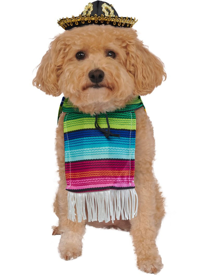 Mexican Serape Pet Costume 1
