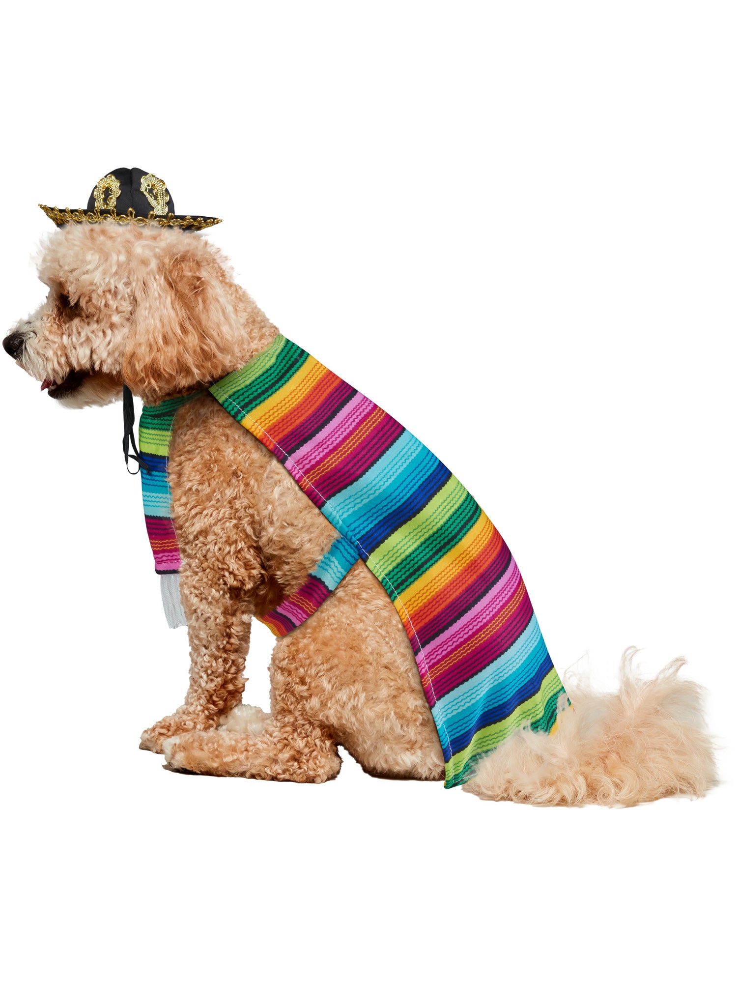 Mexican Serape Pet Costume
