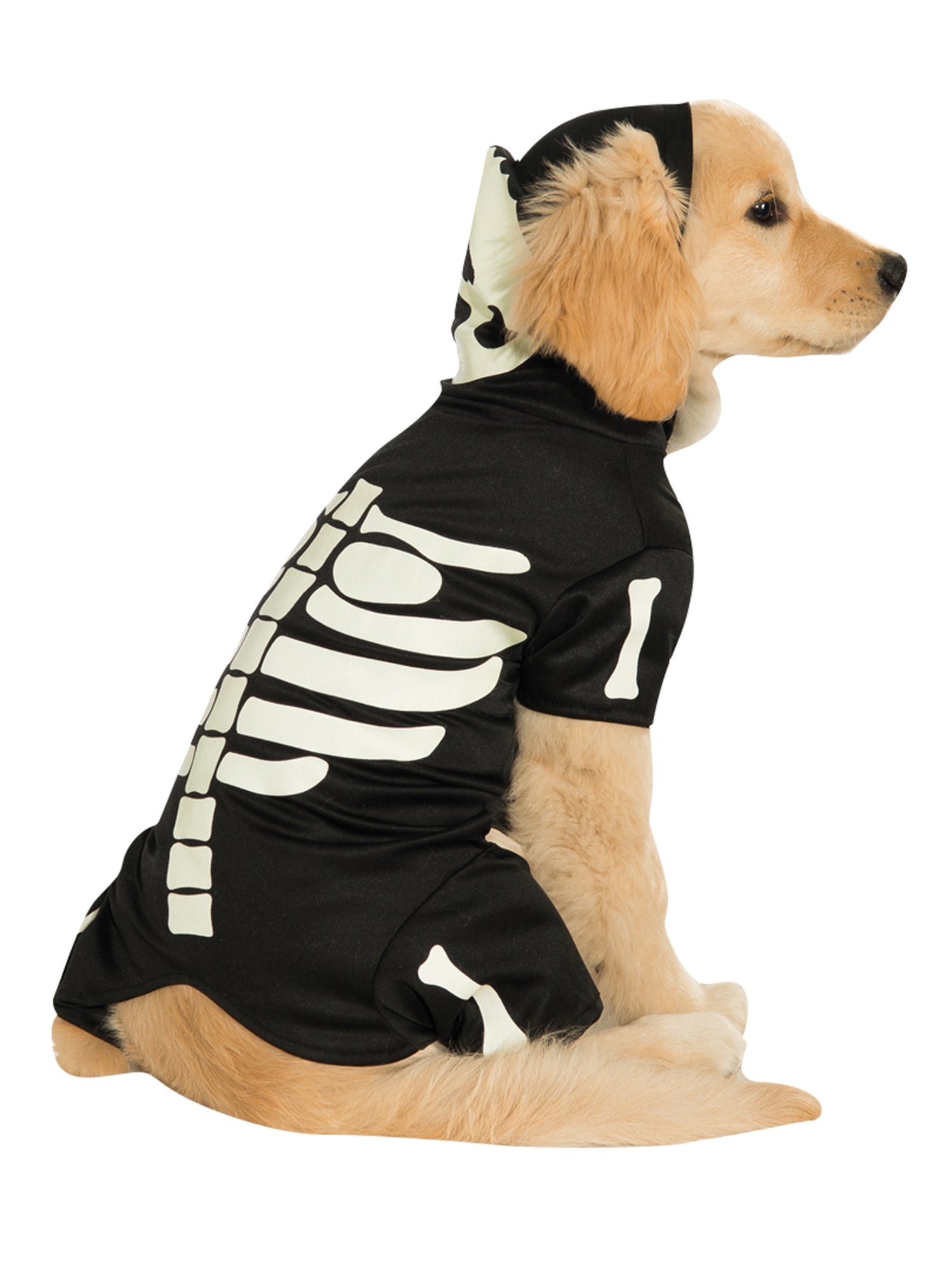 SKELETON GLOW IN THE DARK PET HOODIE