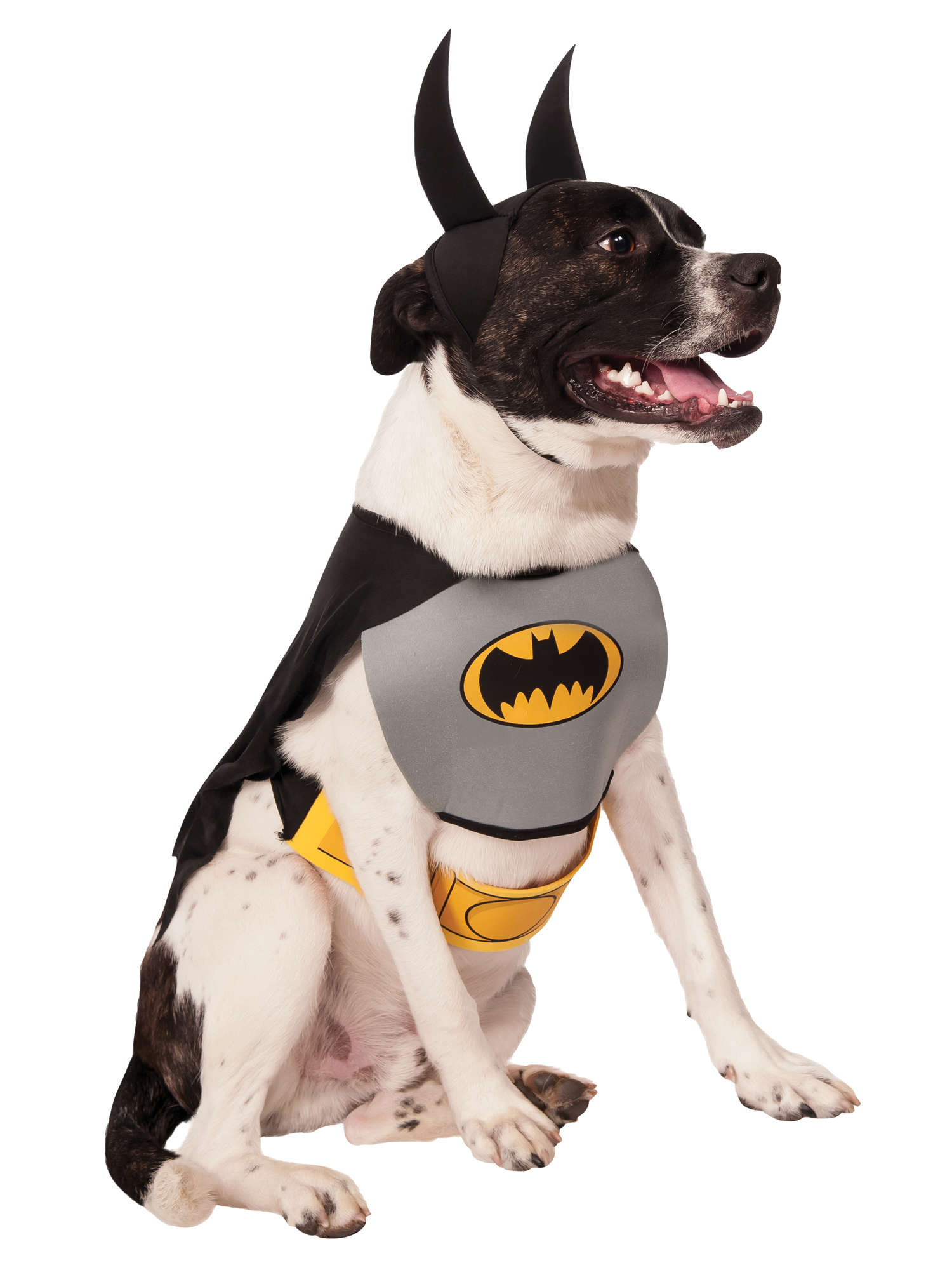BATMAN CLASSIC PET COSTUME