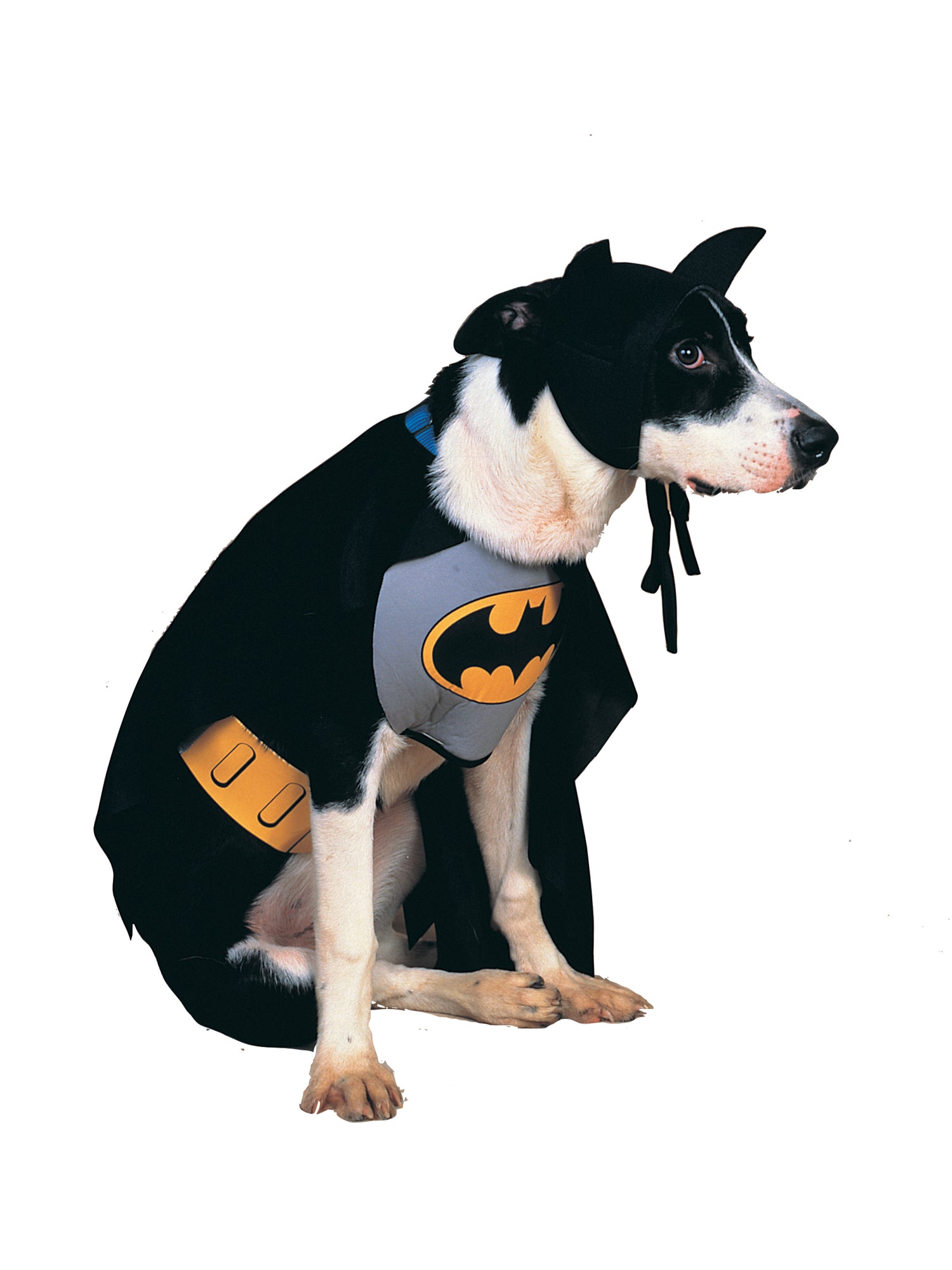 BATMAN CLASSIC PET COSTUME