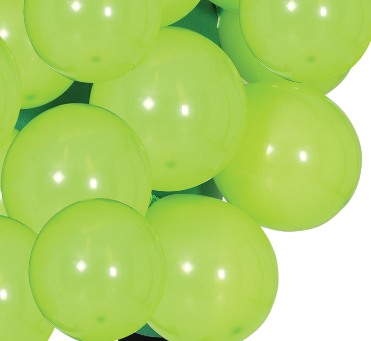 GRAPE, ADULT, 52 - 54 (L)