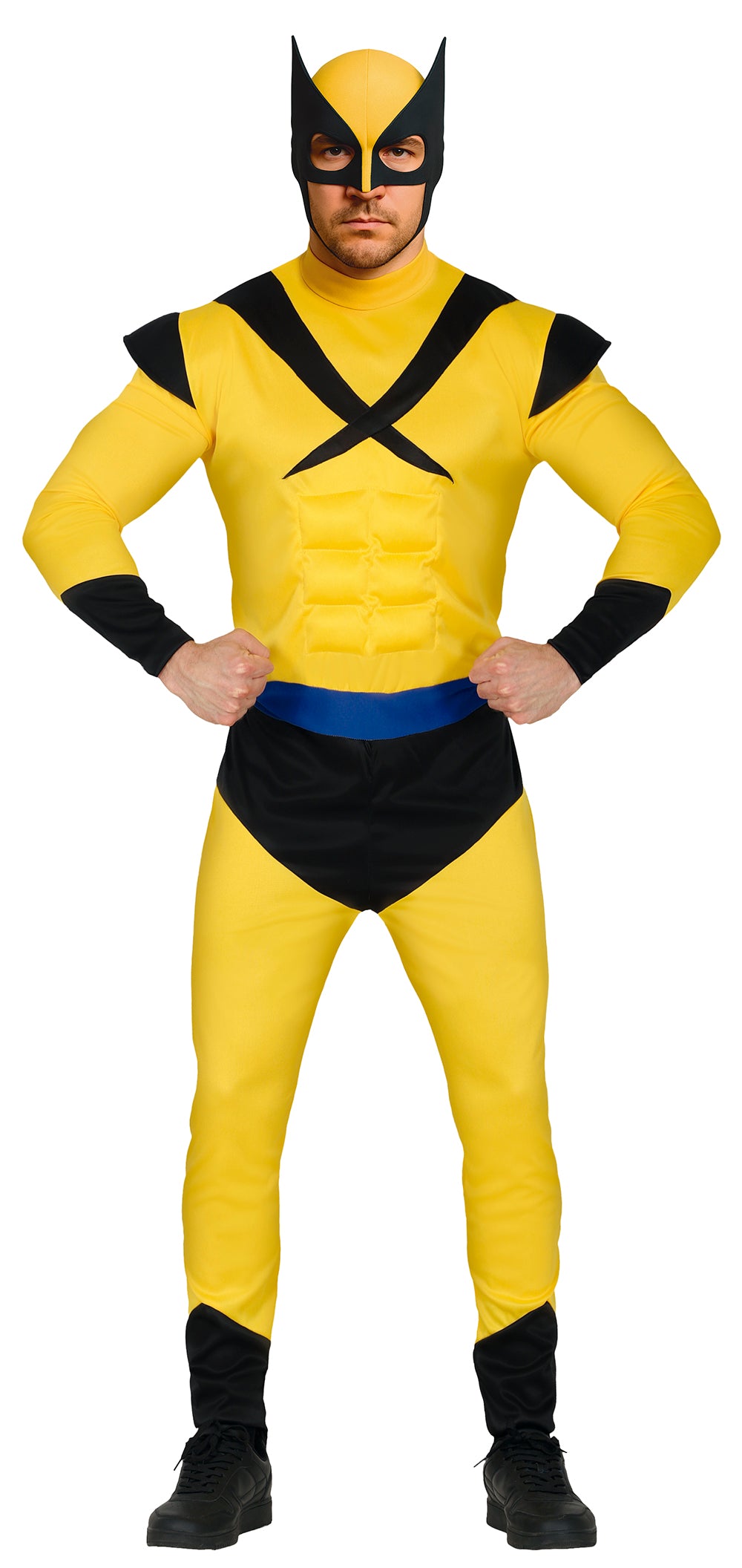 YELLOW MUSCLE, ADULT