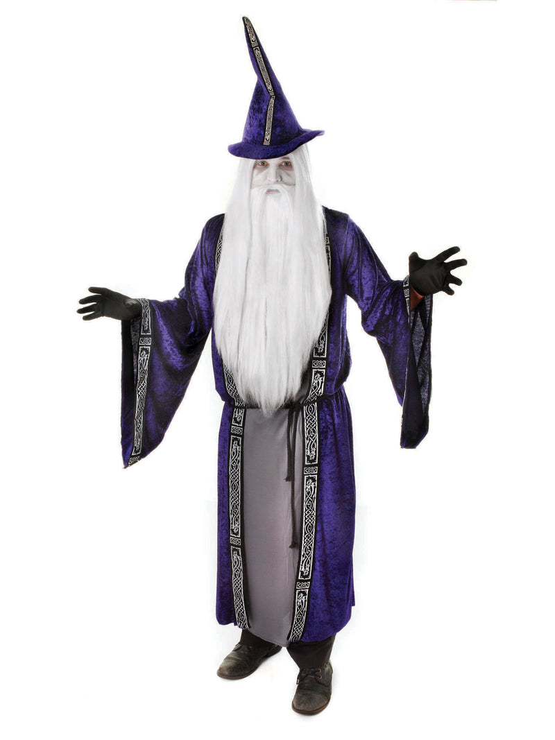 Wizard Costume/Robe