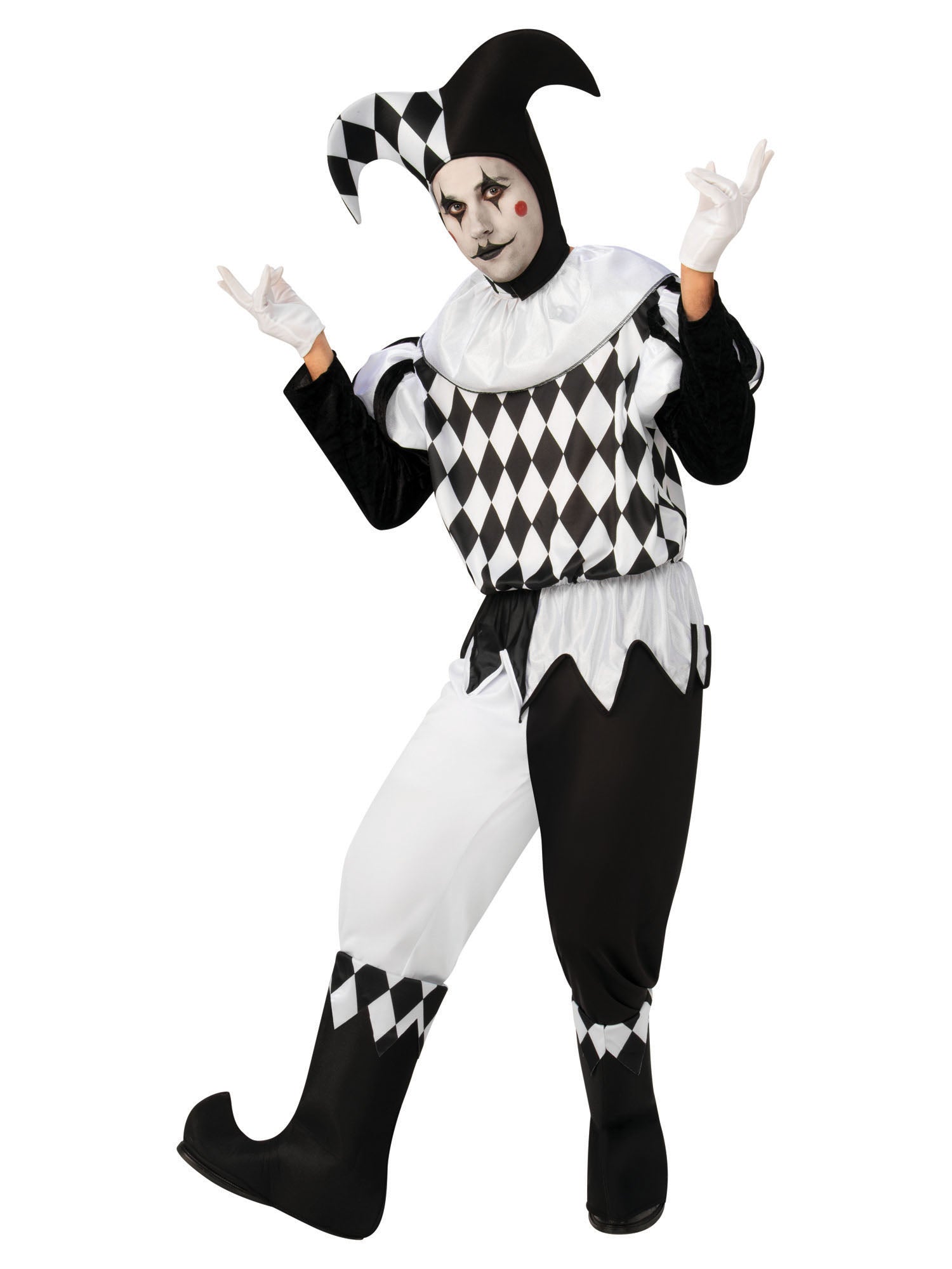 Harlequin Male