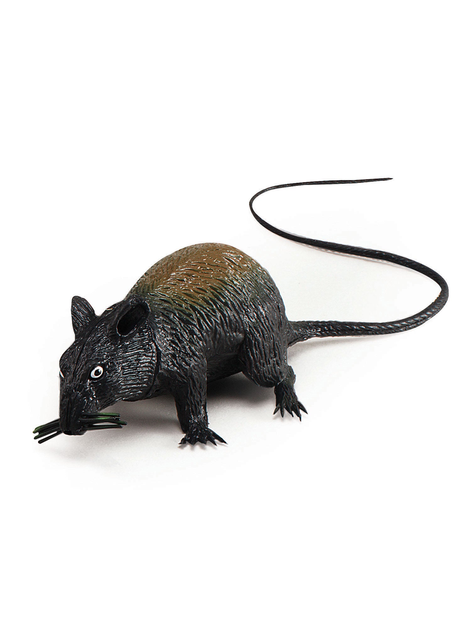 Rat Squeaking. Large
