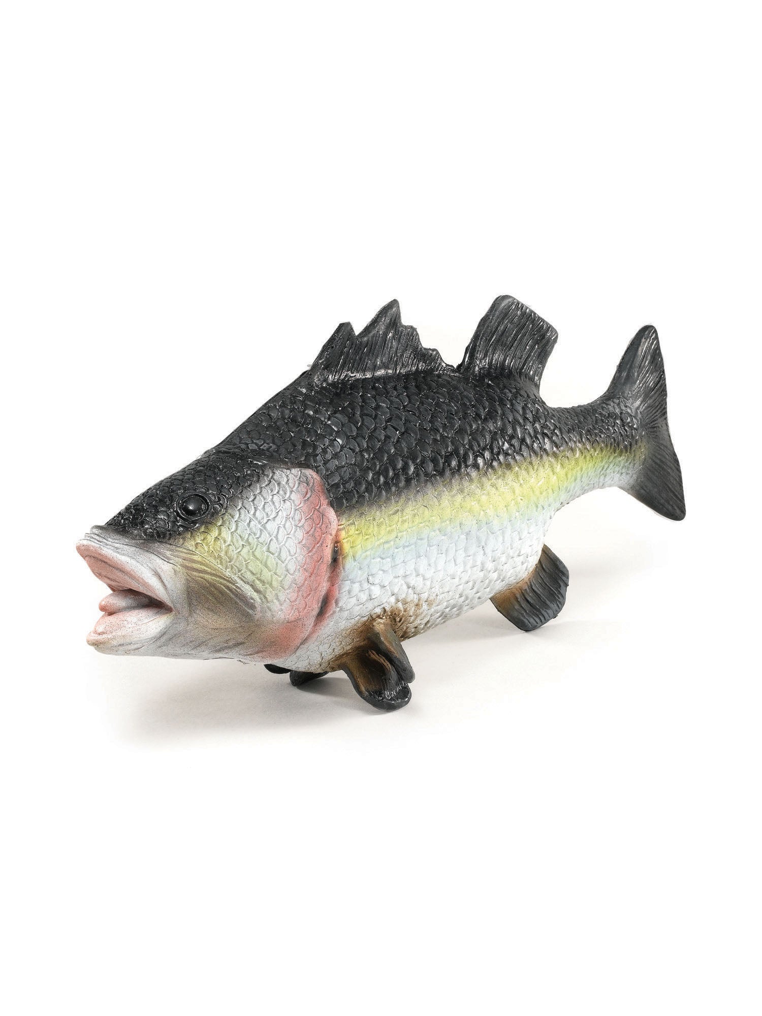Fish Rubber