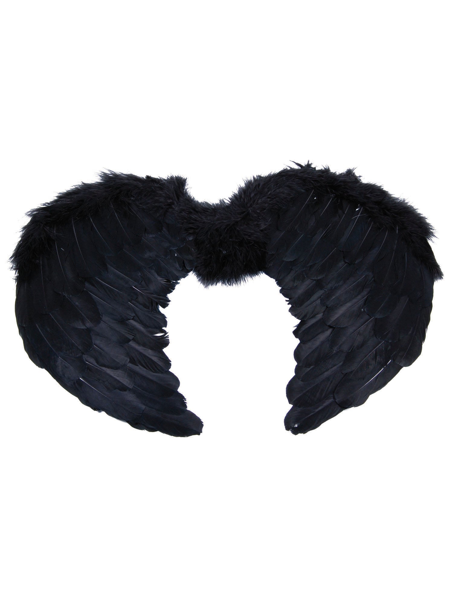 Angel Wings Black Feather Mini (B50)