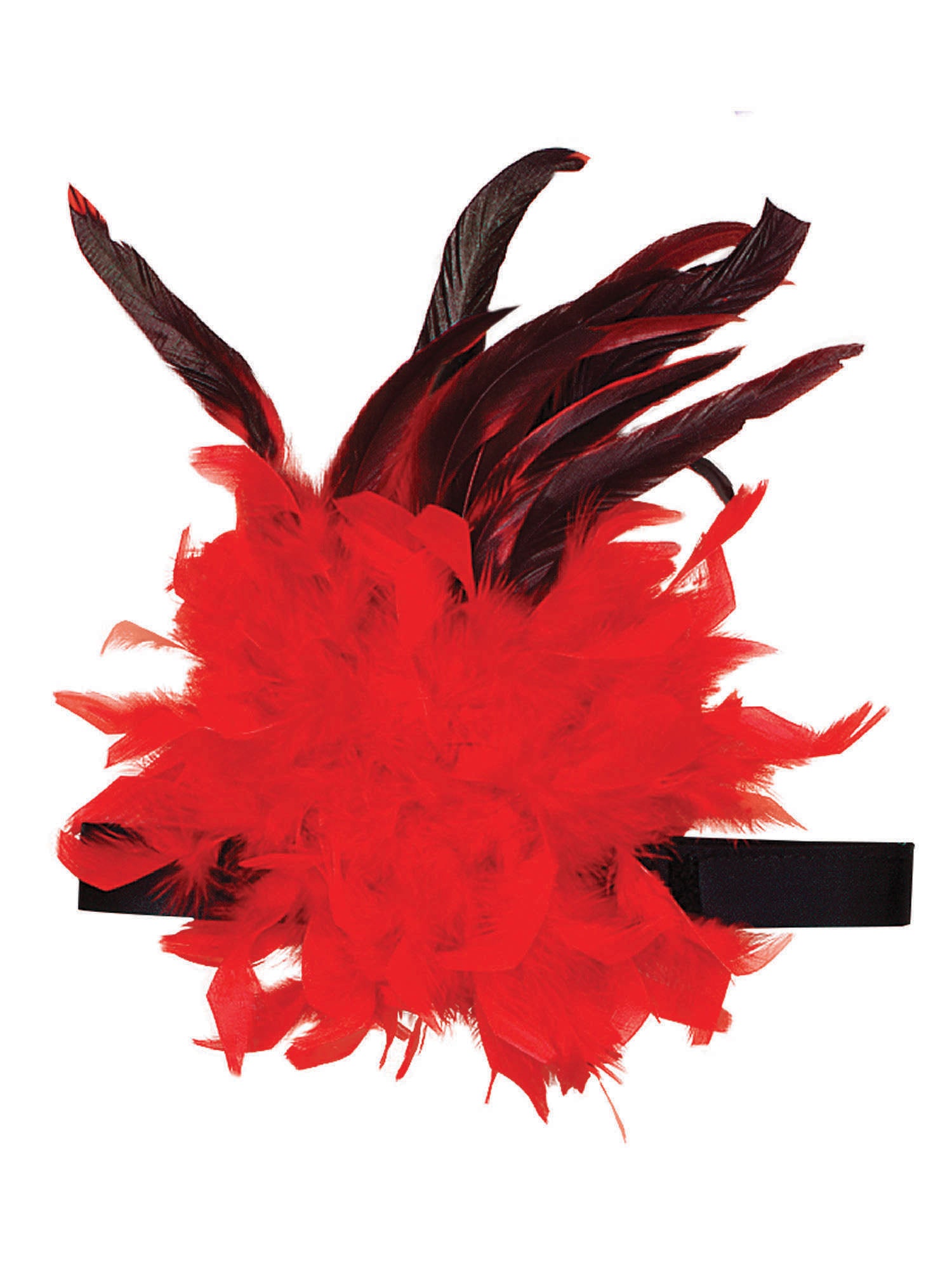 Charleston H'band Red Feather