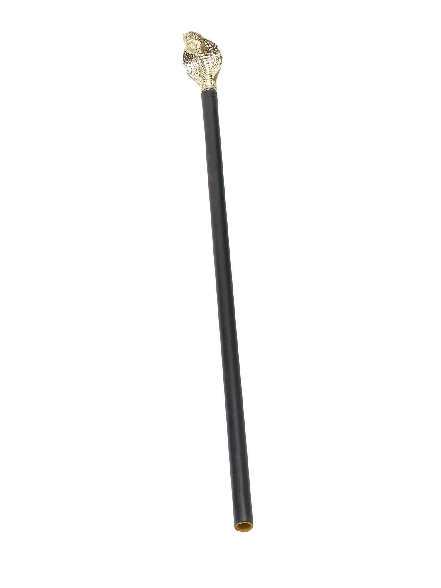 Cane with Snake Head handle