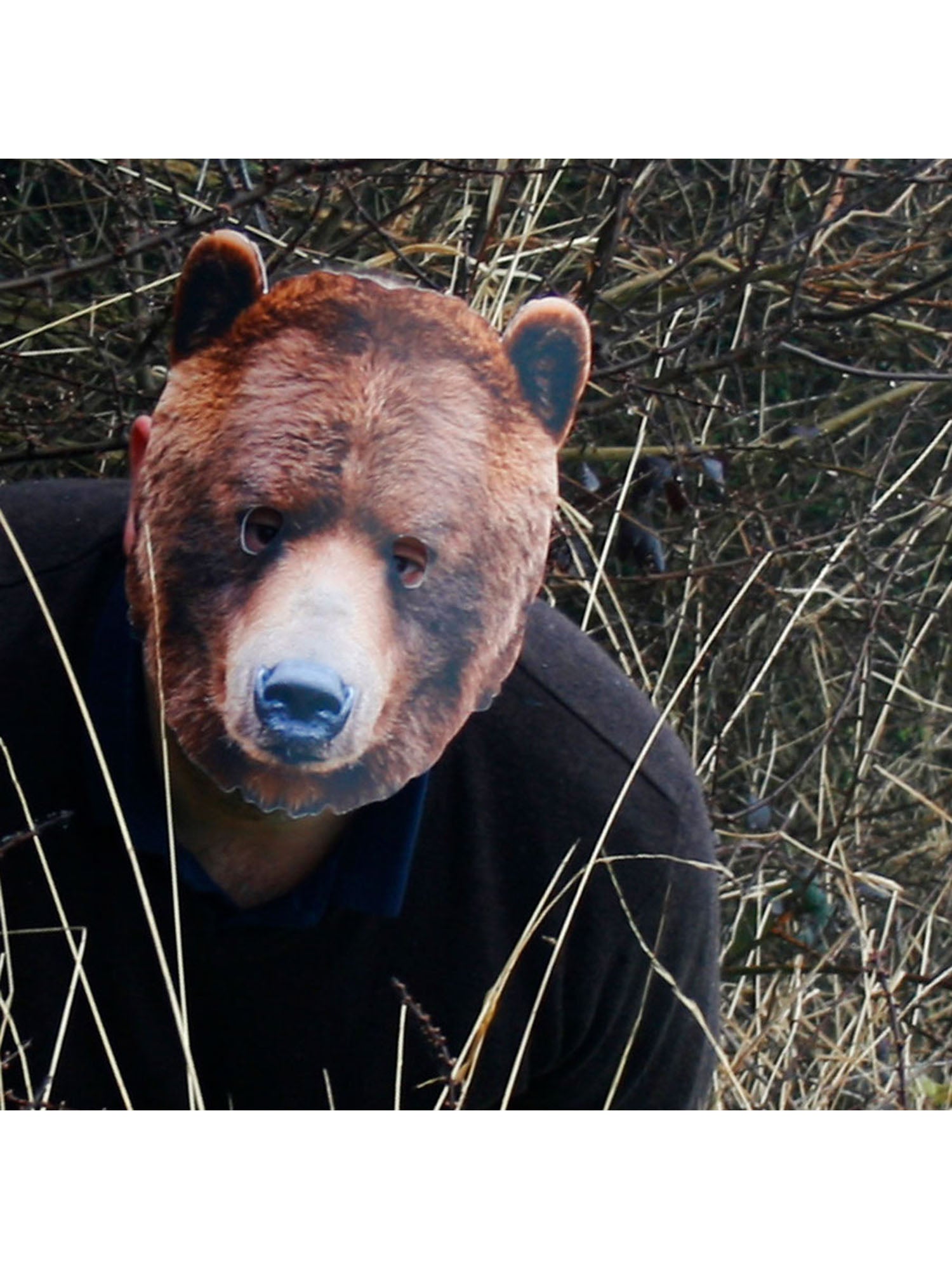 BEAR ANIMAL MASK