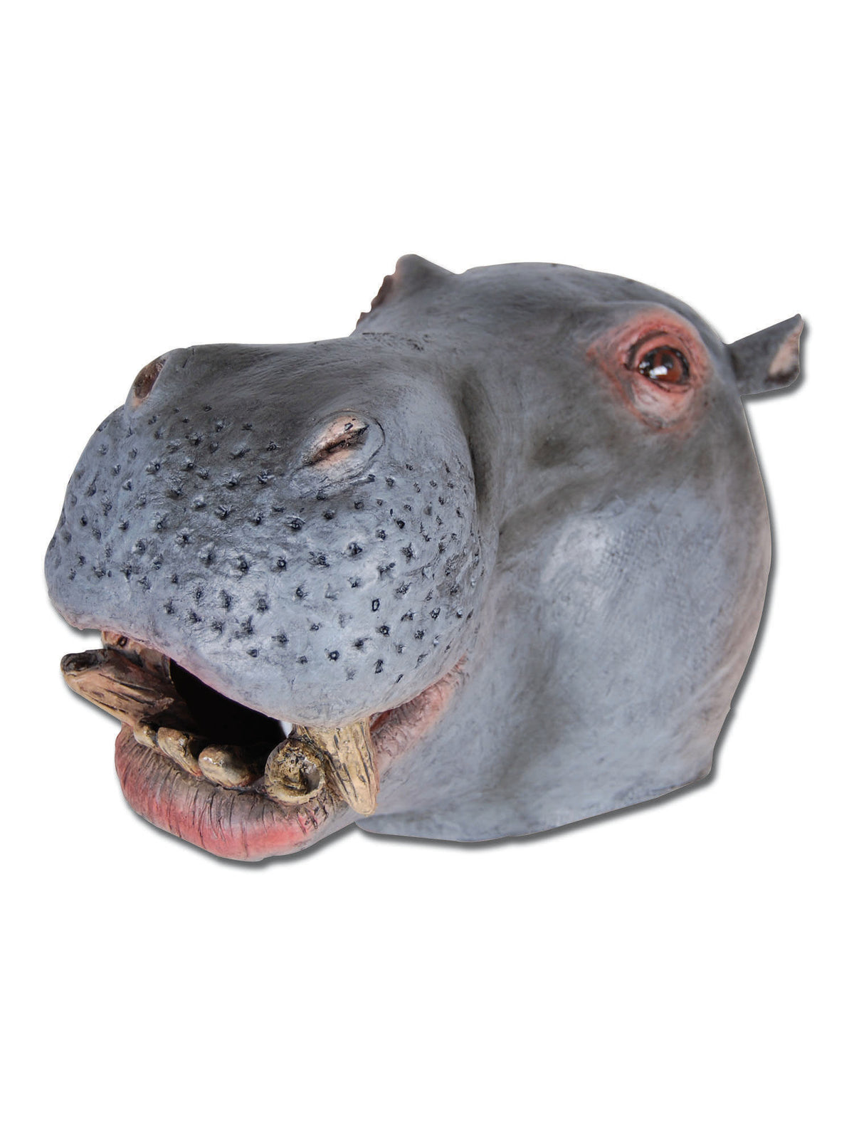 Hippo Mask Rubber O'Head 1