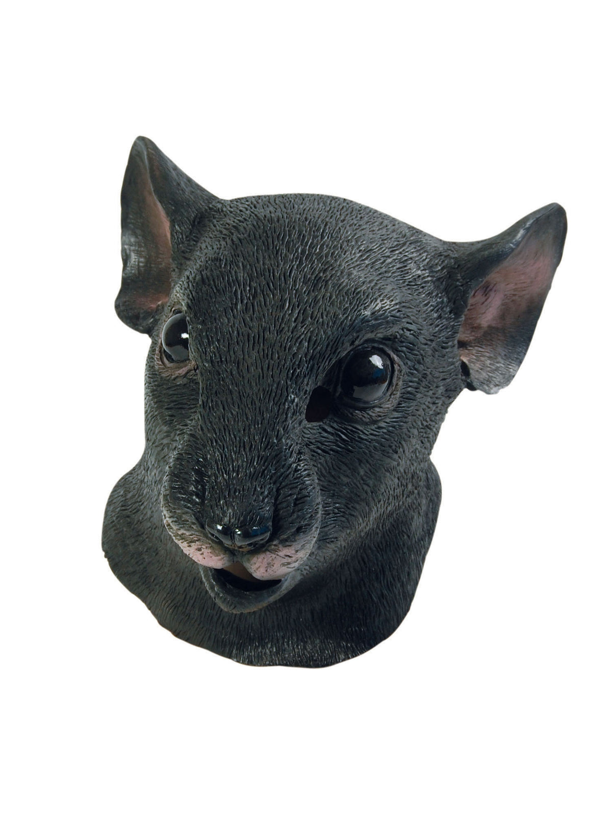 Rat Mask 1