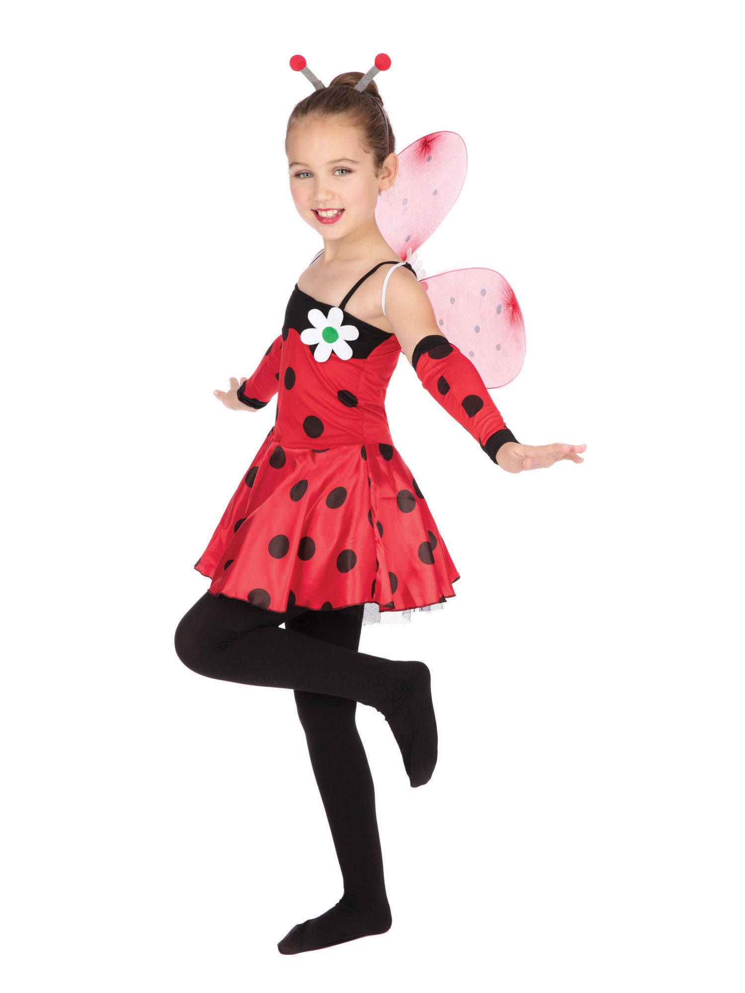 Ladybug
