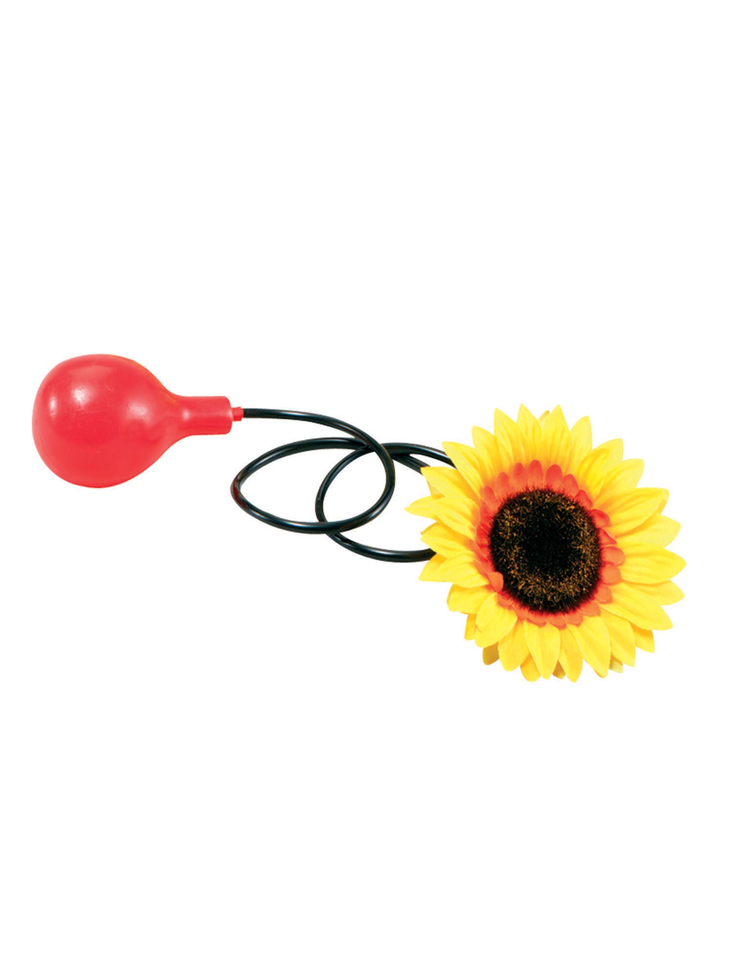 Water Squirt Sunflower