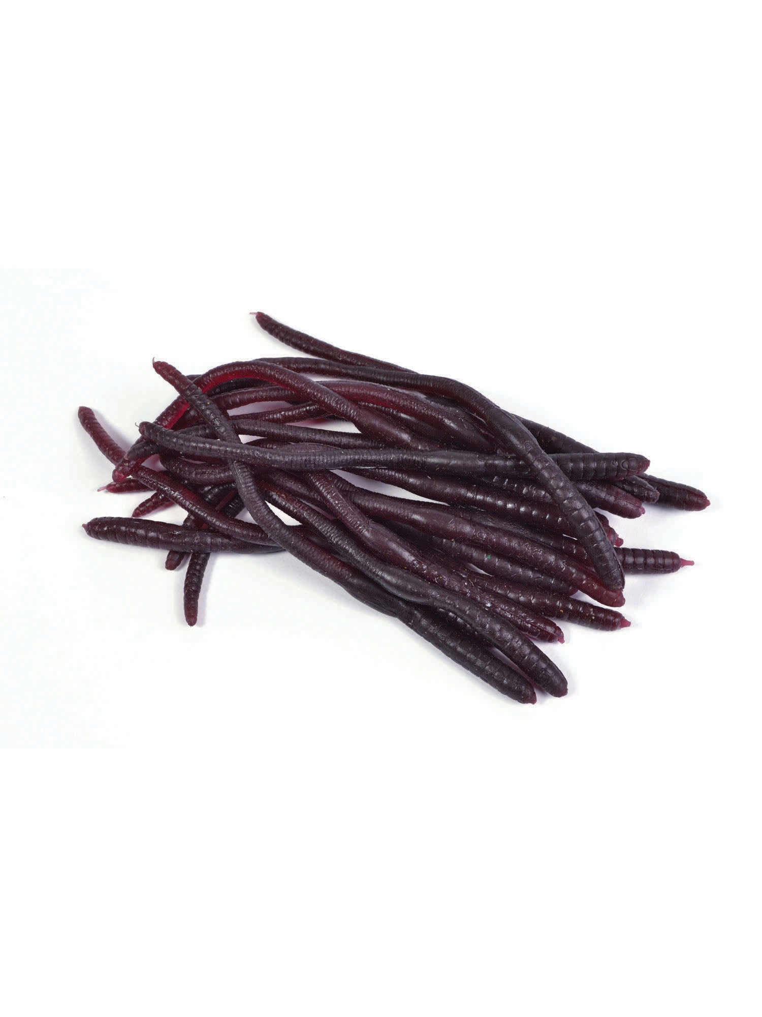 Earthworms (20Pcs)