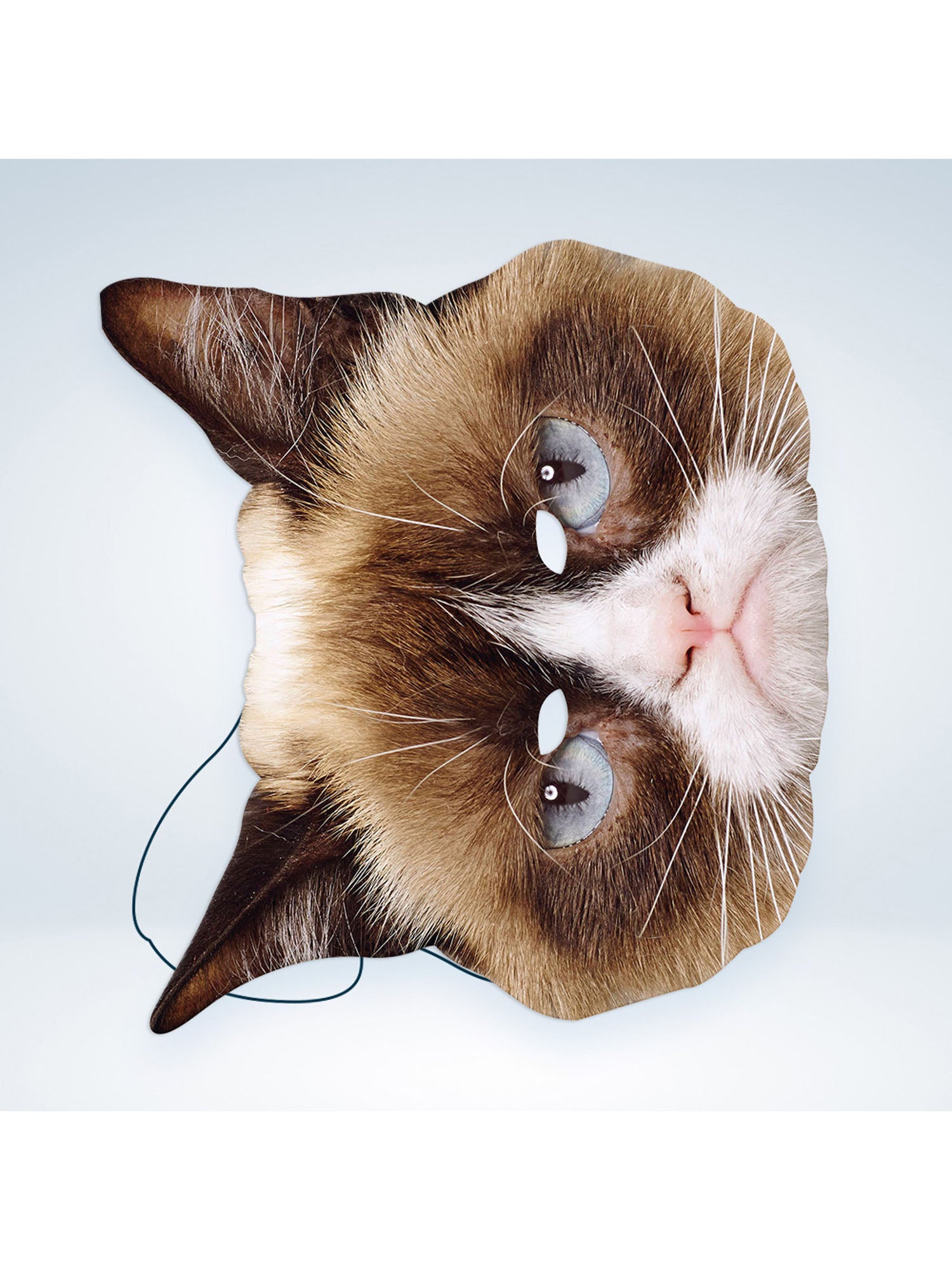 Grumpy Cat Mask
