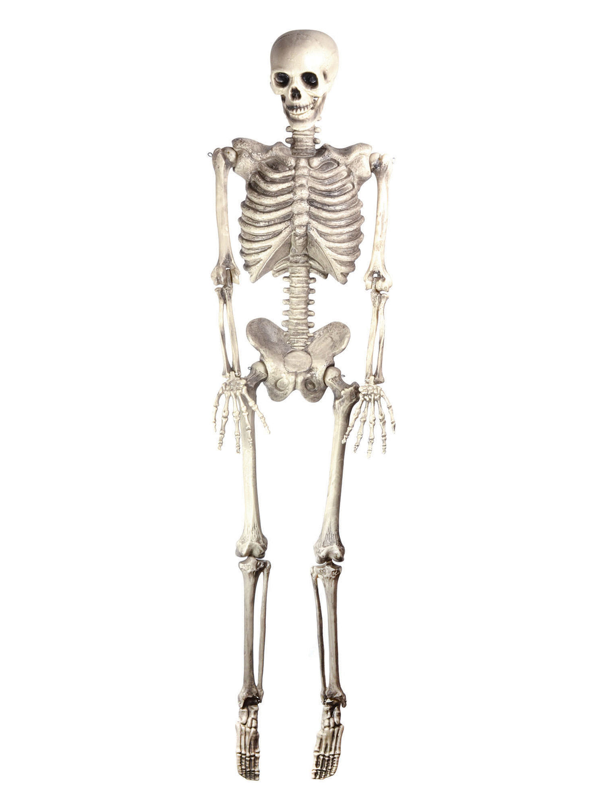 Skeleton 60In Hanging 1