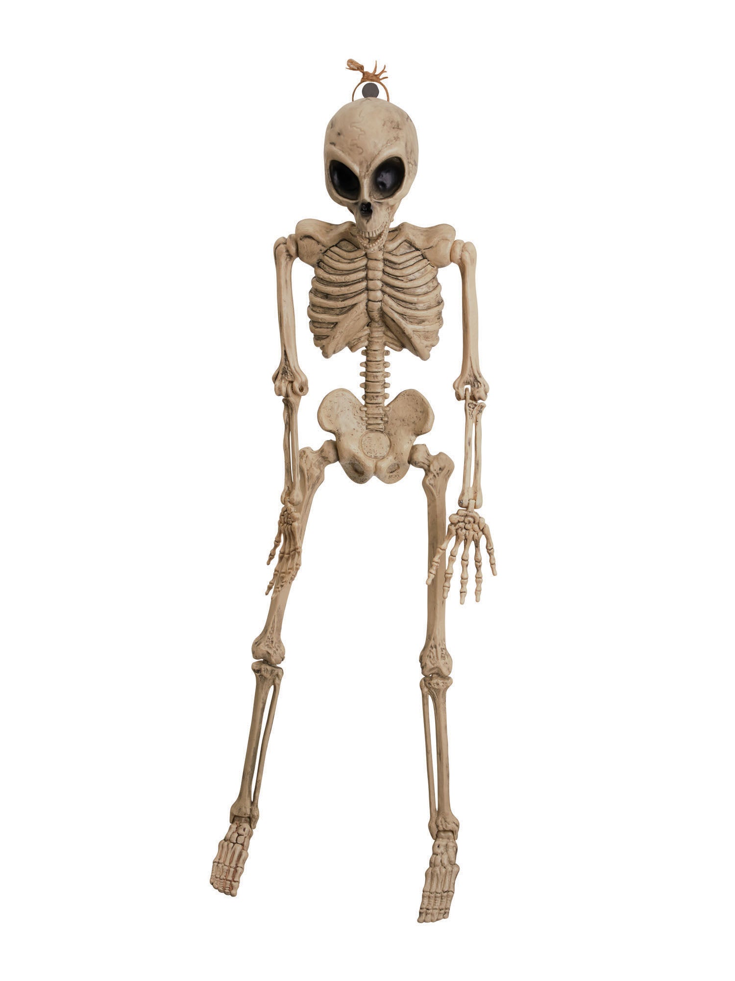 Alien Skeleton 42inch