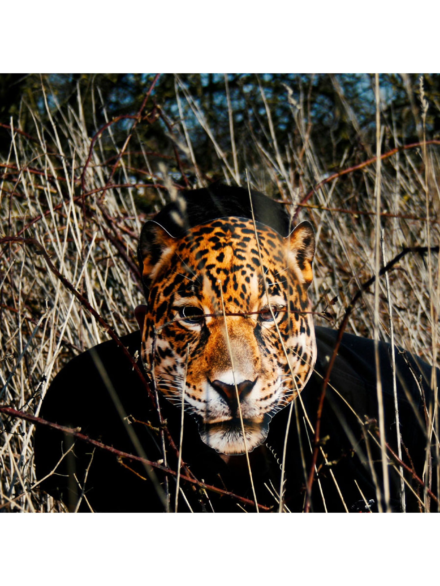 Leopard Animal Mask