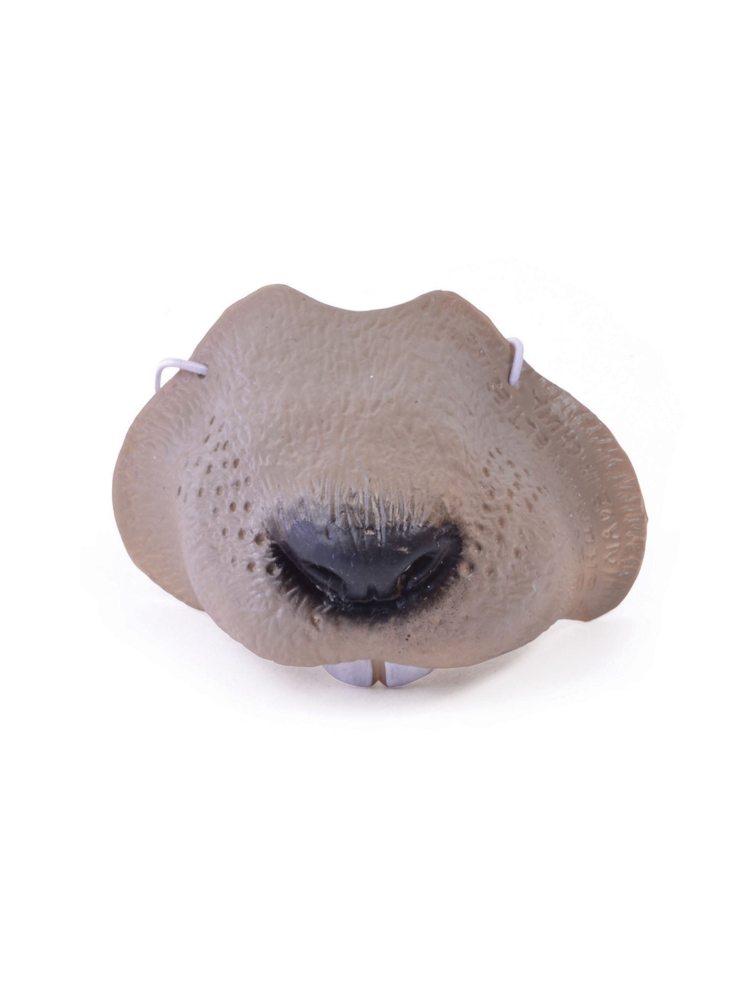 Mouse Nose
