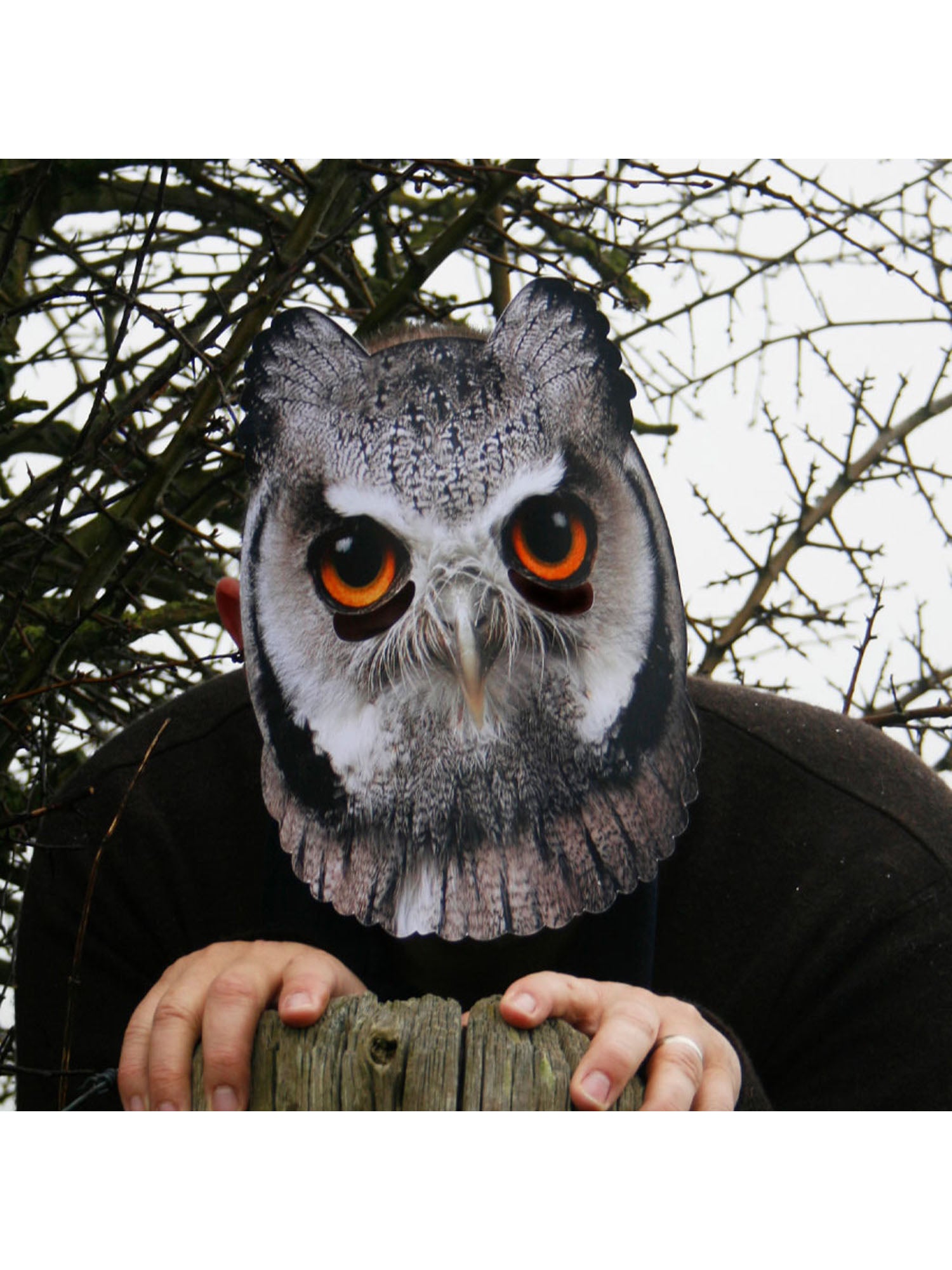 Owl Animal Mask